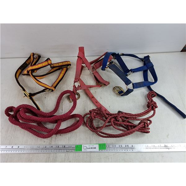 (3) Halters, (2) Lead Ropes