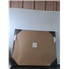Image 3 : (2) Photo Frames Up To 30"x24" ( cannot ship)