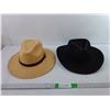 Image 1 : (2) Fedora Style Hats- Approx. L