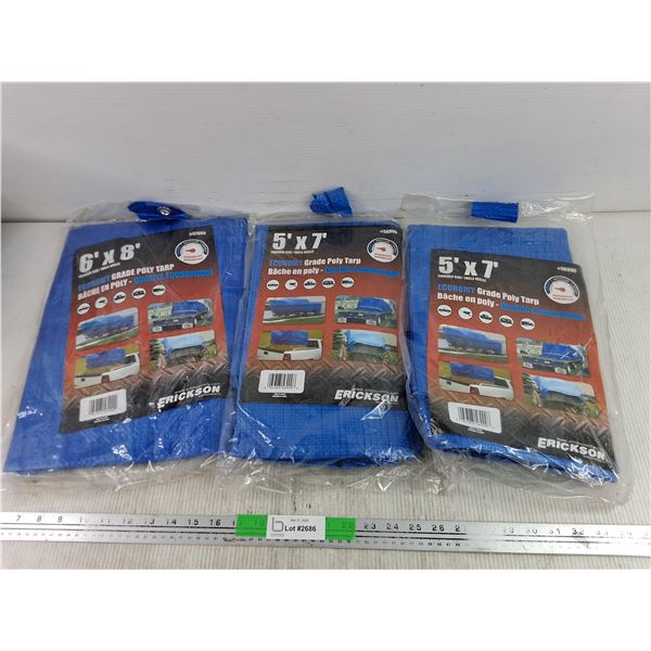 (3) Economy Grade Poly Tarps