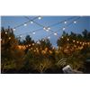 Image 1 : 100FT ST38 Outdoor String Light 2700K With Remote