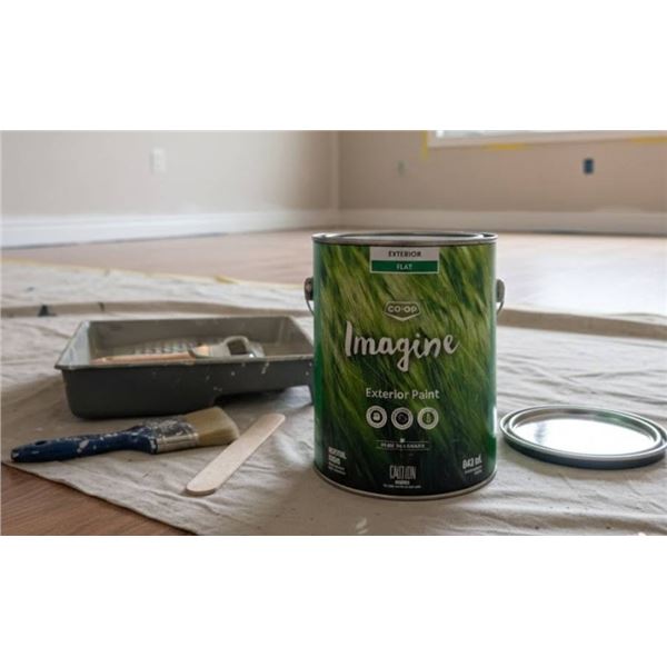 Co-Op Imagine Exterior Flat Paint, Neutral Color, 843 mL, Set of 2