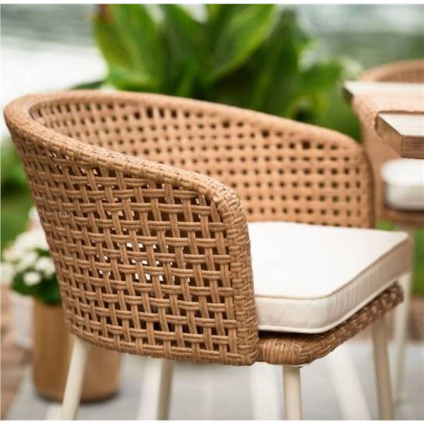 Allen + Roth Dining Set of 2 with White Finish Frame and Polyester Cushions **2 Chairs ONLY**