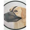 Image 4 : Crazy Felix Mesh Muzzle for Dogs, Size Large