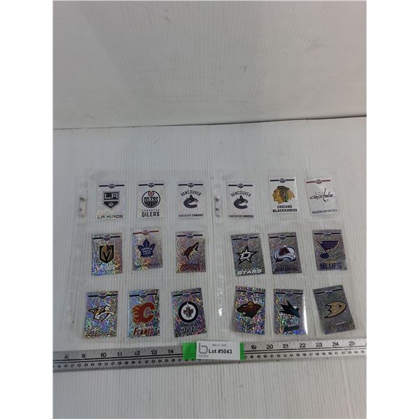(18) NHL Silver Sparkler Logos