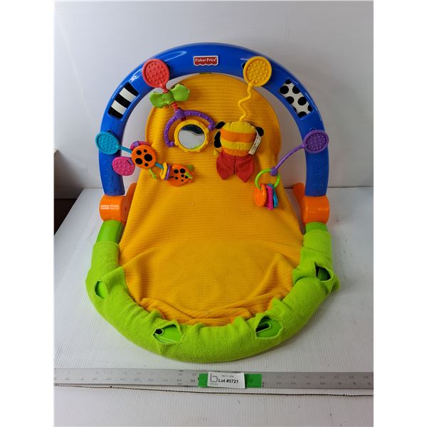 Fisher Price Baby Gym- PICK UP ONLY