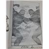 Image 2 : Book: Rough Justice:The DC Comics Sketches of Alex Ross
