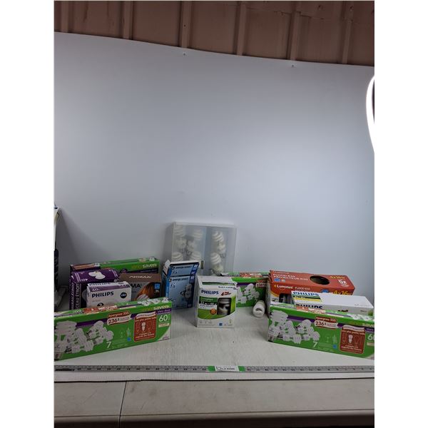 Various Light Bulbs- Philips, Globe, Noma, Luminus, Eco Saver ( as is) - PICK UP