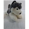Image 4 : (3) Stuffies (Pavel Bure "Russian Rocket" Cat, Ty Teddy w/Jacket, Husky)