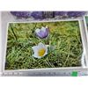Image 2 : Gift Box 16" x 12" x 5", Assorted Pantry & Flowers Prints