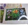 Image 3 : Gift Box 16" x 12" x 5", Assorted Pantry & Flowers Prints