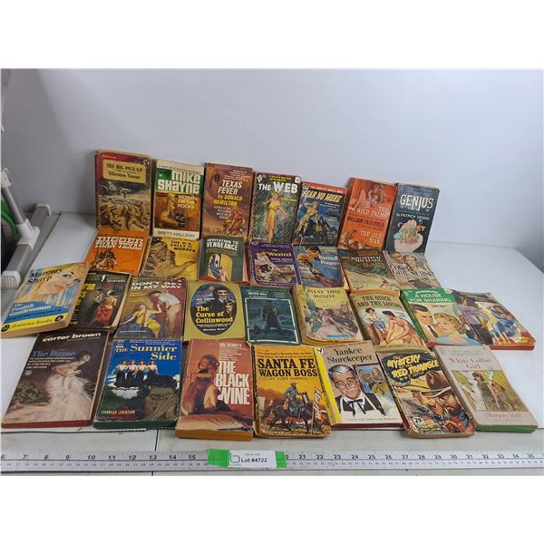 Assorted Vintage Novels- Sydnet Horler, Frances Clippinger, Carter Brown