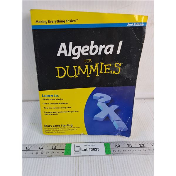 Book: Algebra 1 for Dummies