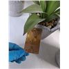 Image 3 : (6) Siena Home Fake Plants- H 10"