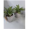 Image 4 : (6) Siena Home Fake Plants- H 10"