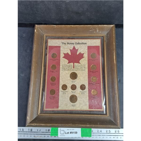 Vintage Framed Canadian Collection of Pennies 12" x 10"