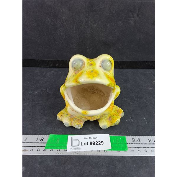 Ceramic Frog Sponge Holder
