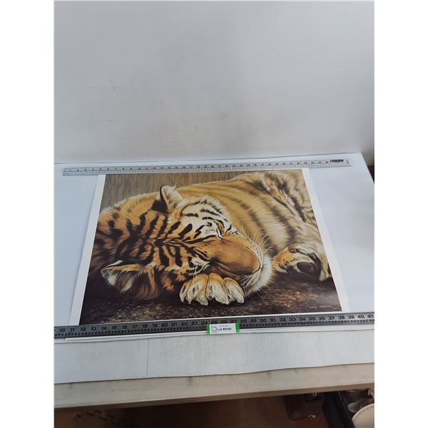 Unframed "Sleeping Beauty" Print by Gail Adams - 29" x 22" - PICK UP