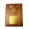 Image 1 : A Cast Member 10 Years of Service Plaque.