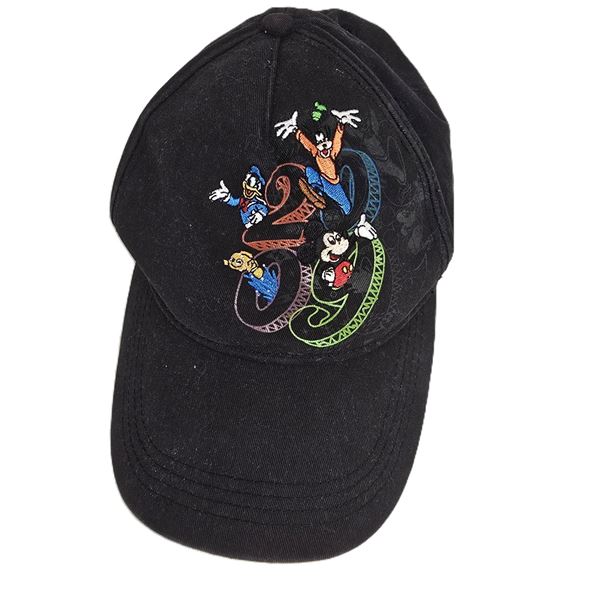 A 2009 Disney Character Ball Cap.