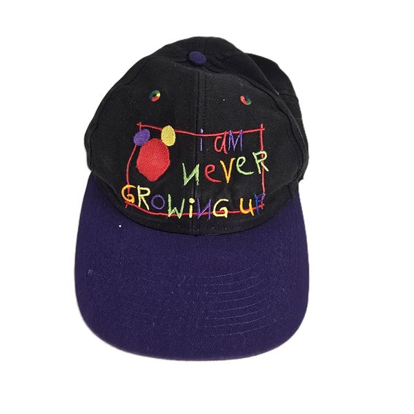 A Walt Disney World Never Growing Up Hat.