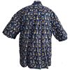 Image 1 : A Blue Button-Up Character Shirt.