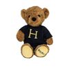 Image 1 : A Hogwarts Teddy Bear.