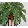Image 2 : ARTIFICIAL PLANT WITH STAND 42" TALL