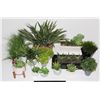 Image 1 : BIG BUNDLE OF ARTIFICIAL PLANTS