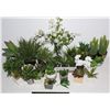 Image 1 : BIG BOX OF ARTIFICIAL PLANTS