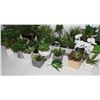 Image 2 : BIG BOX OF ARTIFICIAL PLANTS