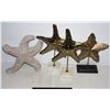 Image 1 : LOT OF HOME DECOR