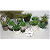 Image 2 : HUGE BUNDLE OF POTTED ARTIFICIAL PLANTS