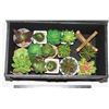Image 2 : DECORATIVE STORAGE BOX WITH ARTIFICIAL PLANTS