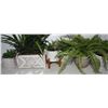 Image 2 : BUNDLE OF ARTIFICIAL PLANTS