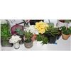 Image 2 : BUNDLE OF ARTIFICIAL PLANTS & MORE