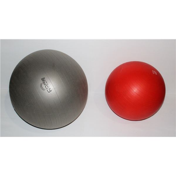 EXERCISE BALLS