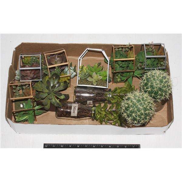 BUNDLE OF HOME DECOR, ARTIFICIAL CACTUS AND MORE