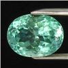 11.5ct Natural Deep Patroke Green Kunzite Oval VVS Appraisal Estimate $1173 (GEM-18553)