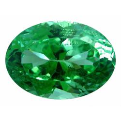 11.5ct Natural Green Kunzite Gem Stone Afghanistan VS Appraisal Estimate $1245 (GEM-17325)
