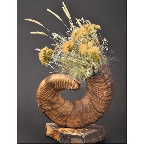 Wyoming Backcountry Décor - Bighorn Vase
