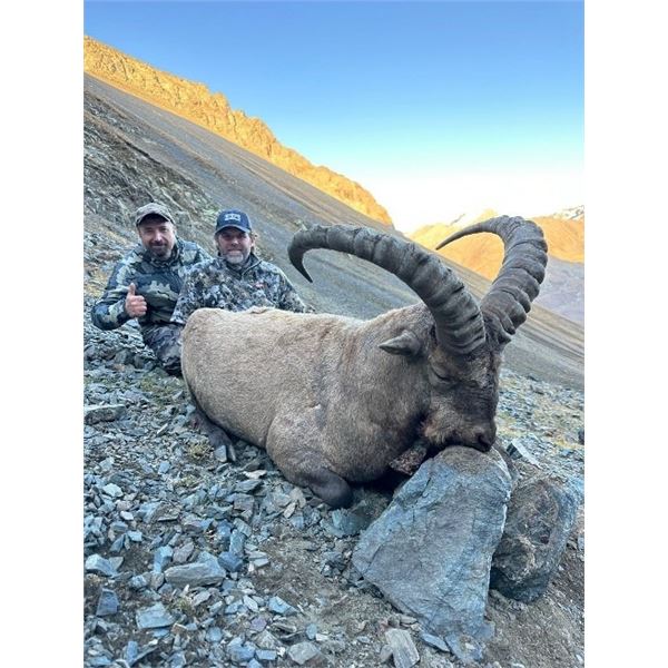 Kuban (Western) Tur Hunt