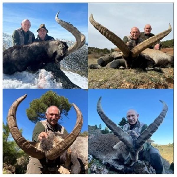 5 days for 1 Hunter in Spain