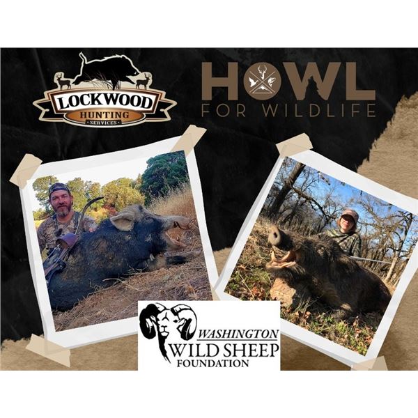 Fully Outfitted California Wild Pig Hunt for 2 Hunters