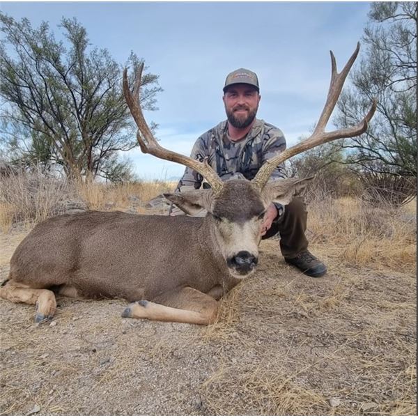 Alcampo Hunting Adventures