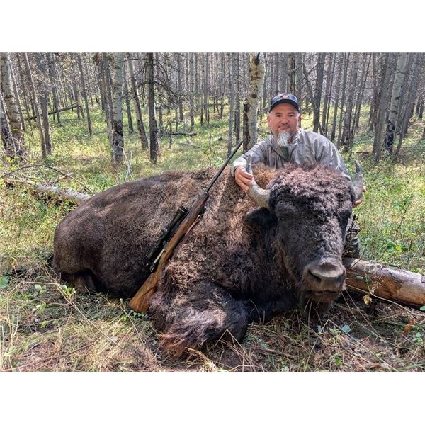 Fill Your Freezer Buffalo Hunt