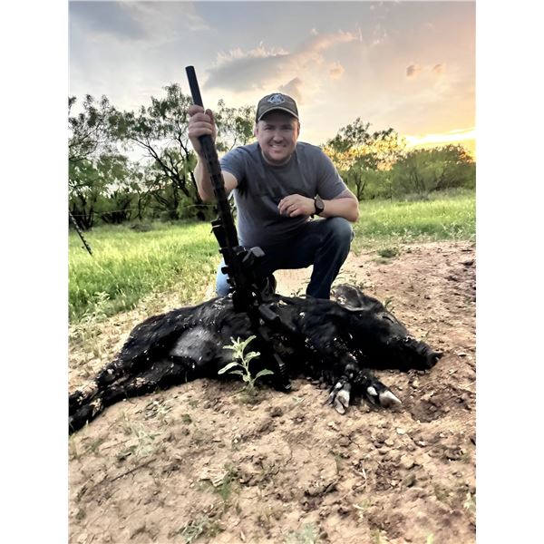 Texas Hog Hunt