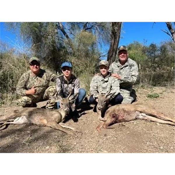 Mexican Coues Deer Hunt