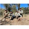 Image 1 : Mexican Coues Deer Hunt