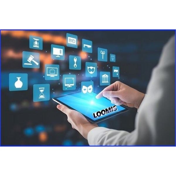 ONLINE BIDDING INFO